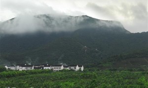 付营子乡最新项目