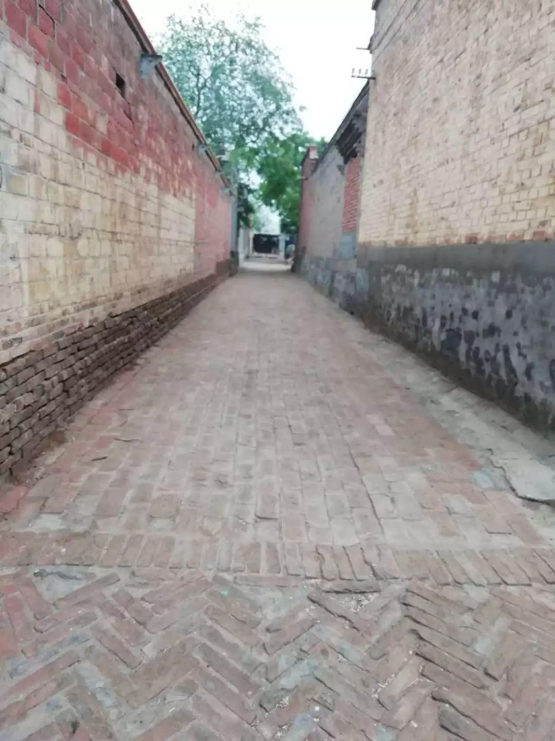 跃威 第4页