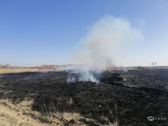 石羊河林业总场大滩分场最新发展规划
