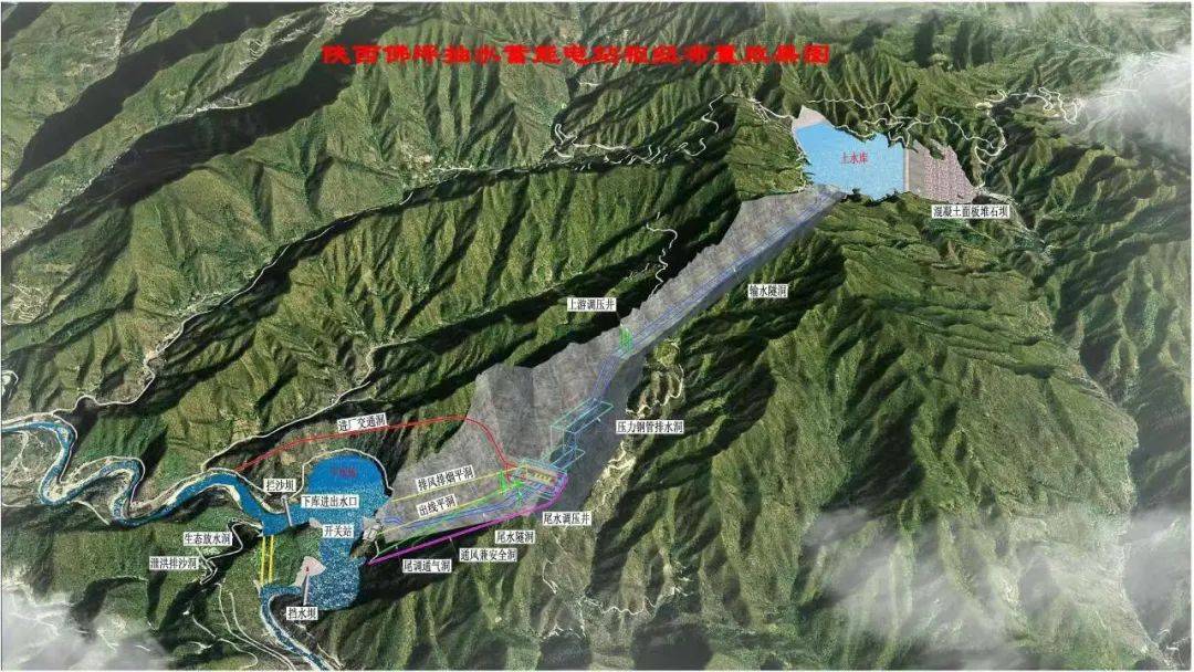 佛坪县农业农村局最新发展规划