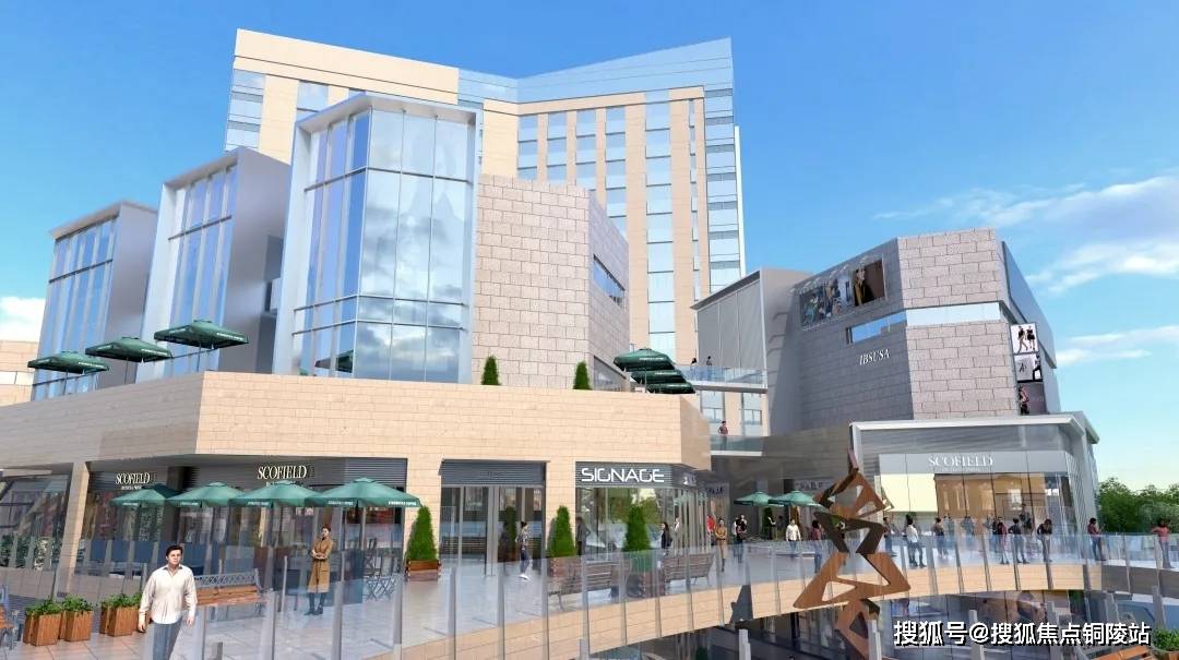 李家墩村委会最新招聘信息