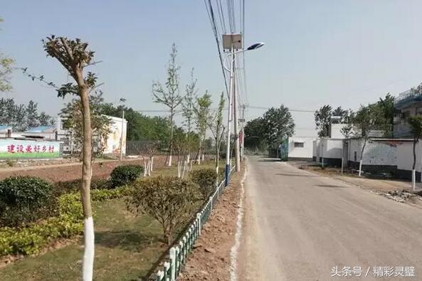 马槽沟村委会最新新闻