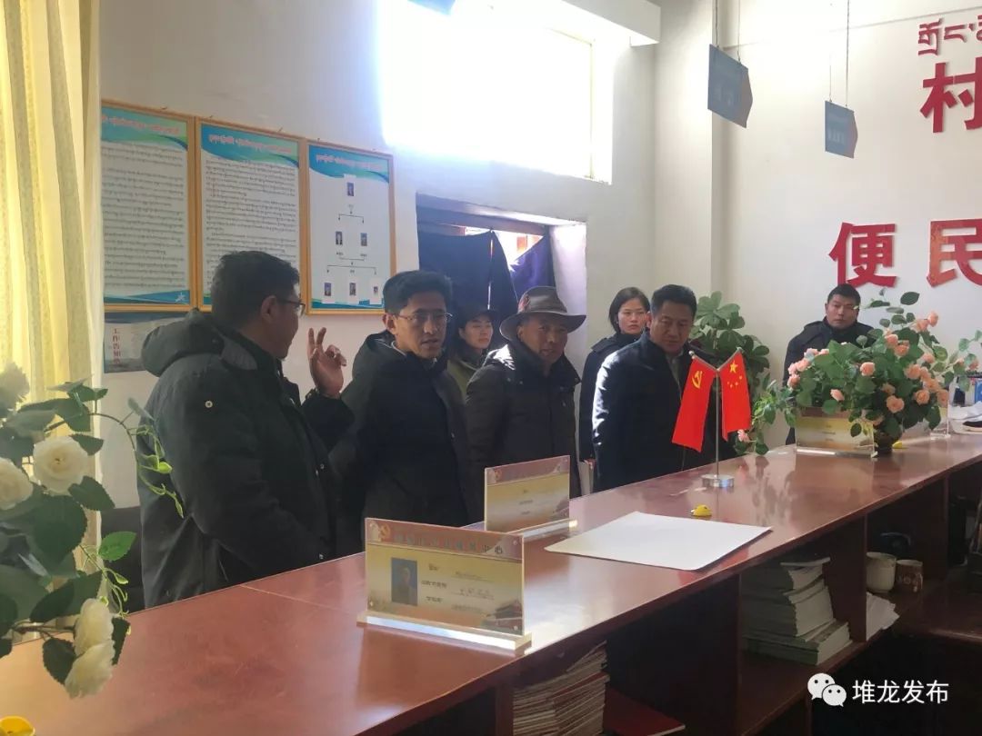 藏东村最新领导