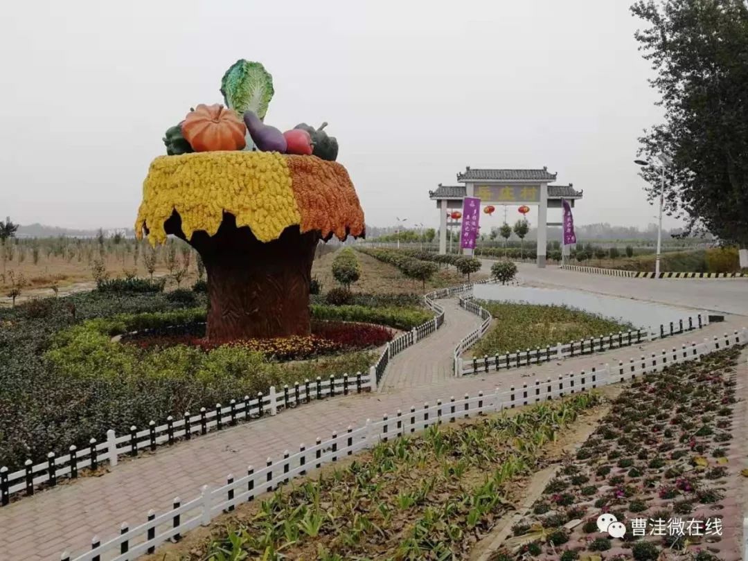 曹家洼乡最新项目