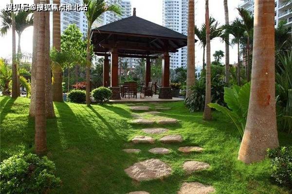 夏玛村最新项目