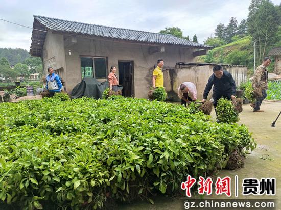 五里铺村民委员会最新发展规划