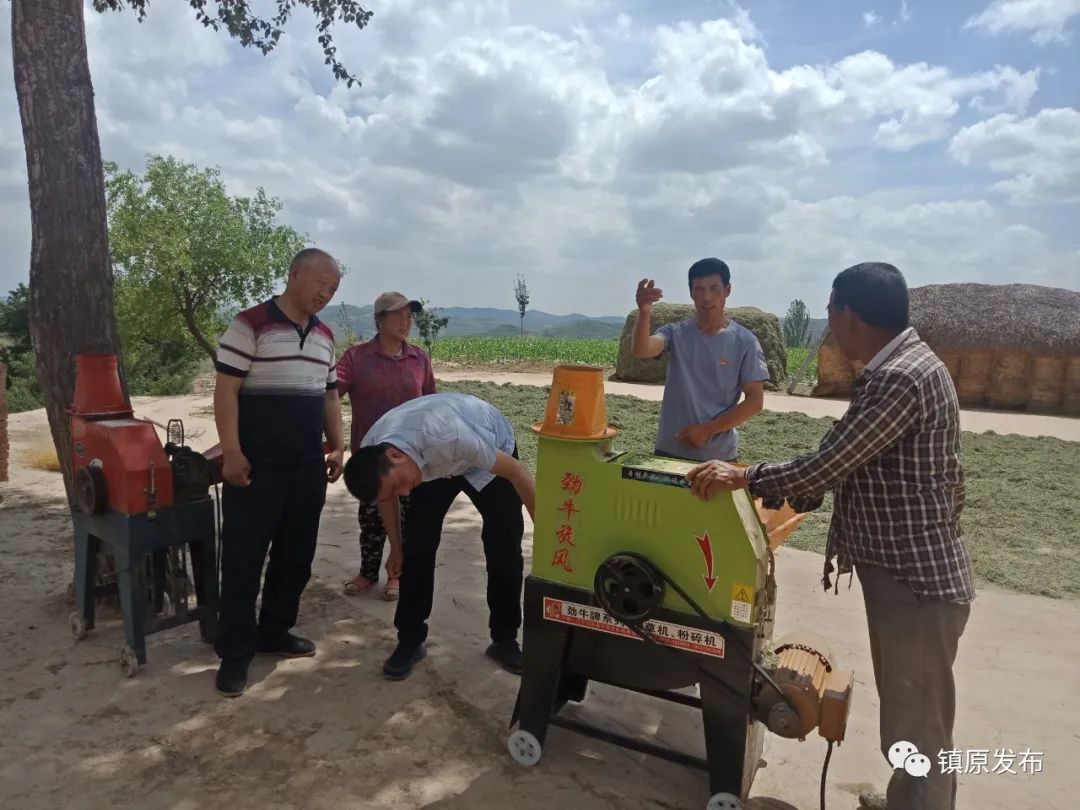 殷家城村委会最新新闻