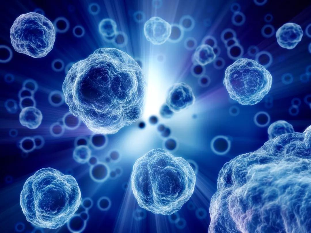 全国最新冠状病毒病例确诊详解,全面理解,积极应对