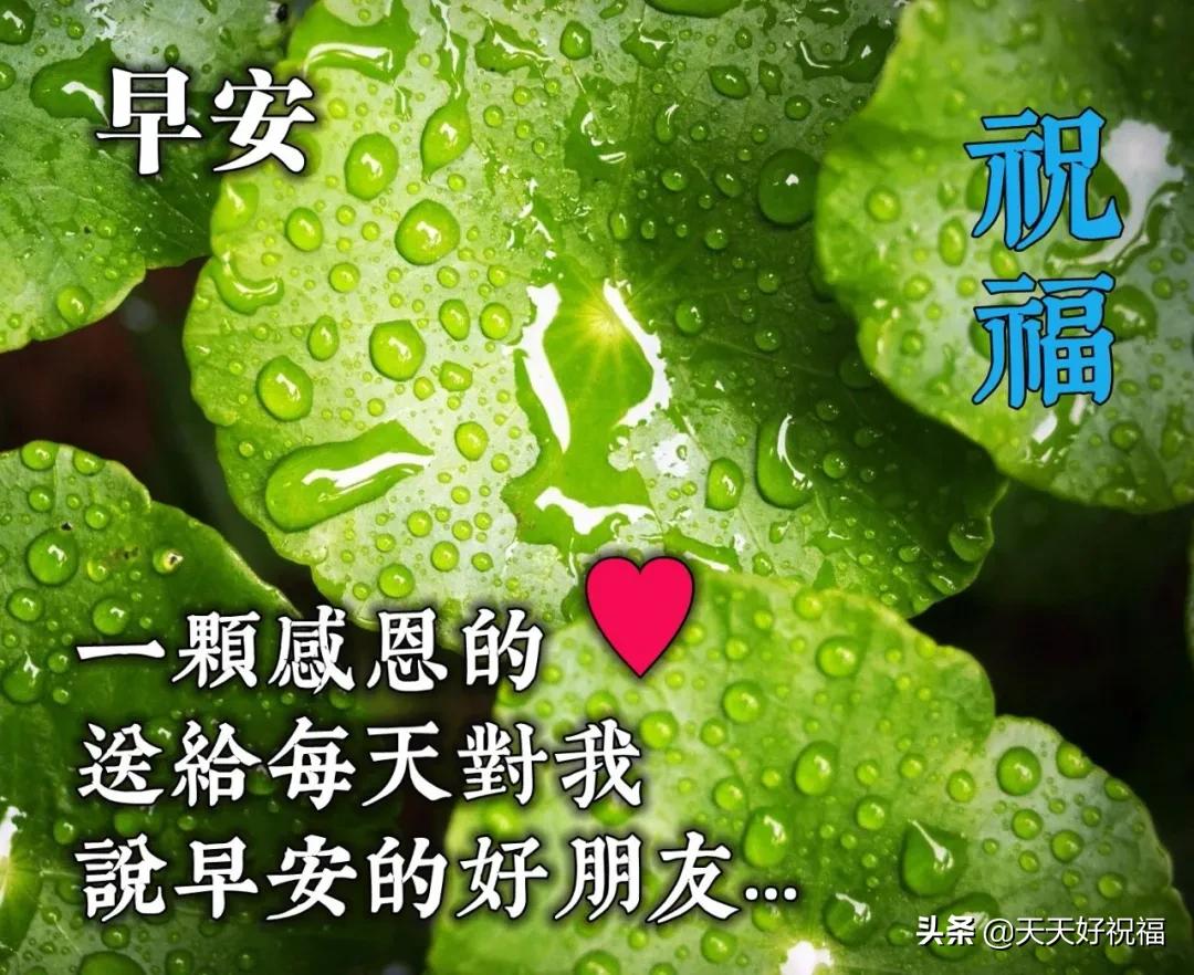 最新早安朋友圈句子,点燃一天的励志与希望之光