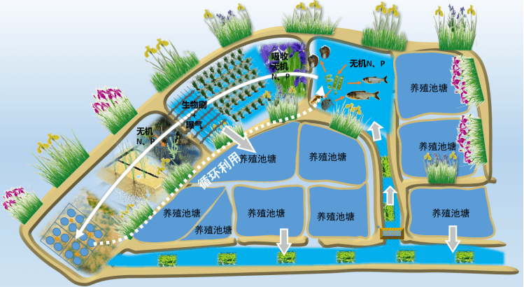 符运鸿 第4页