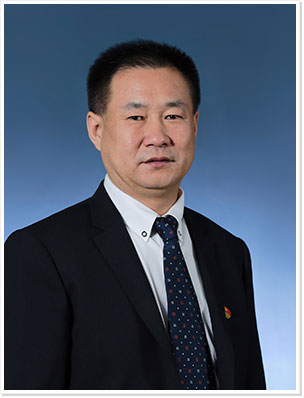 殷金宝最新动态,成功背后的故事揭秘