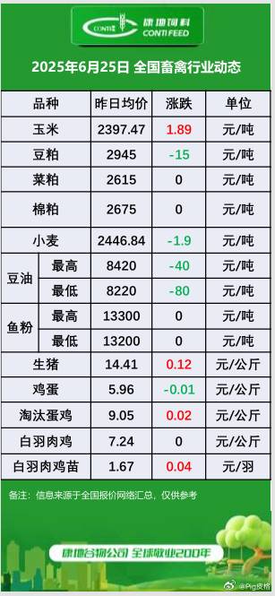 今日全国生猪价格分析与展望,最新动态及未来趋势解析