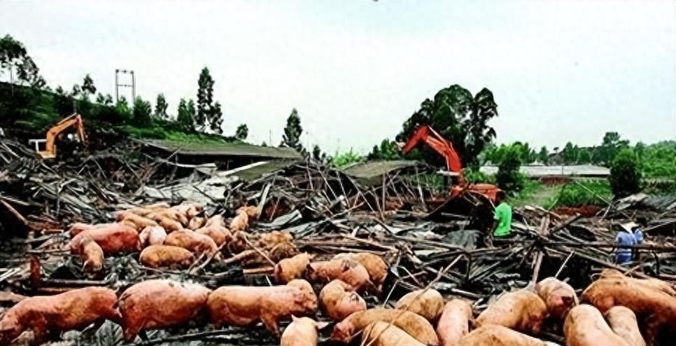 南平延平区推动城市更新与发展,最新通知发布