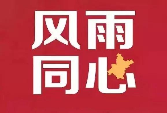 山东新型病毒肺炎态势分析及应对策略探讨