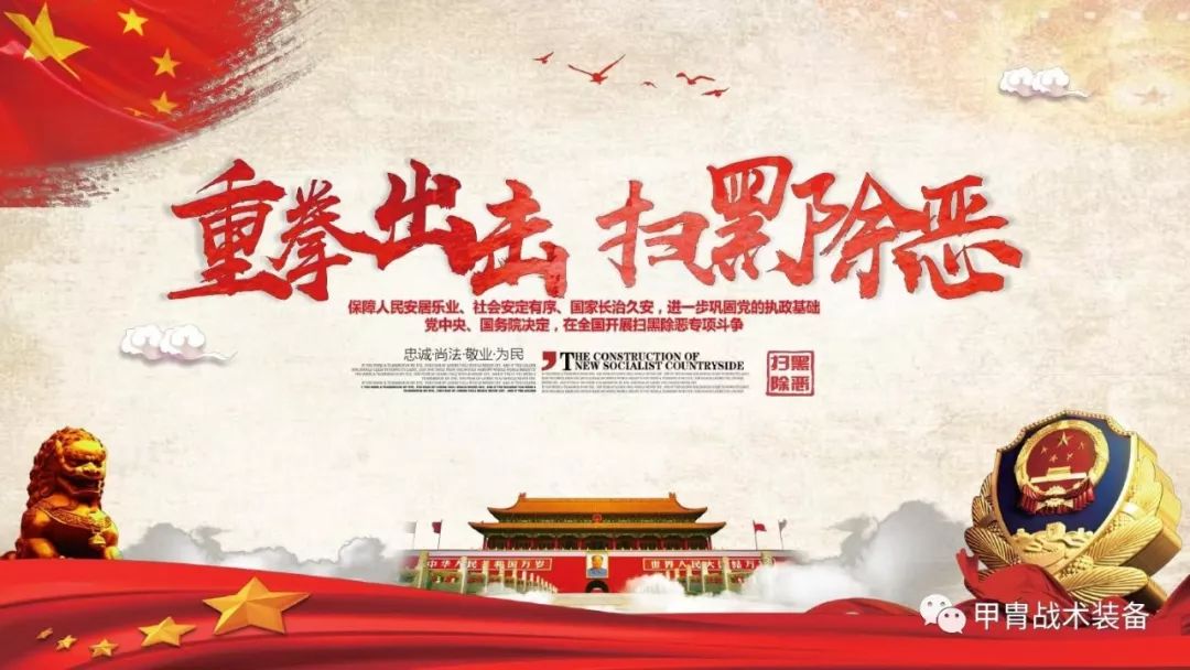 XXXX年扫黑除恶行动最新动态深度解析