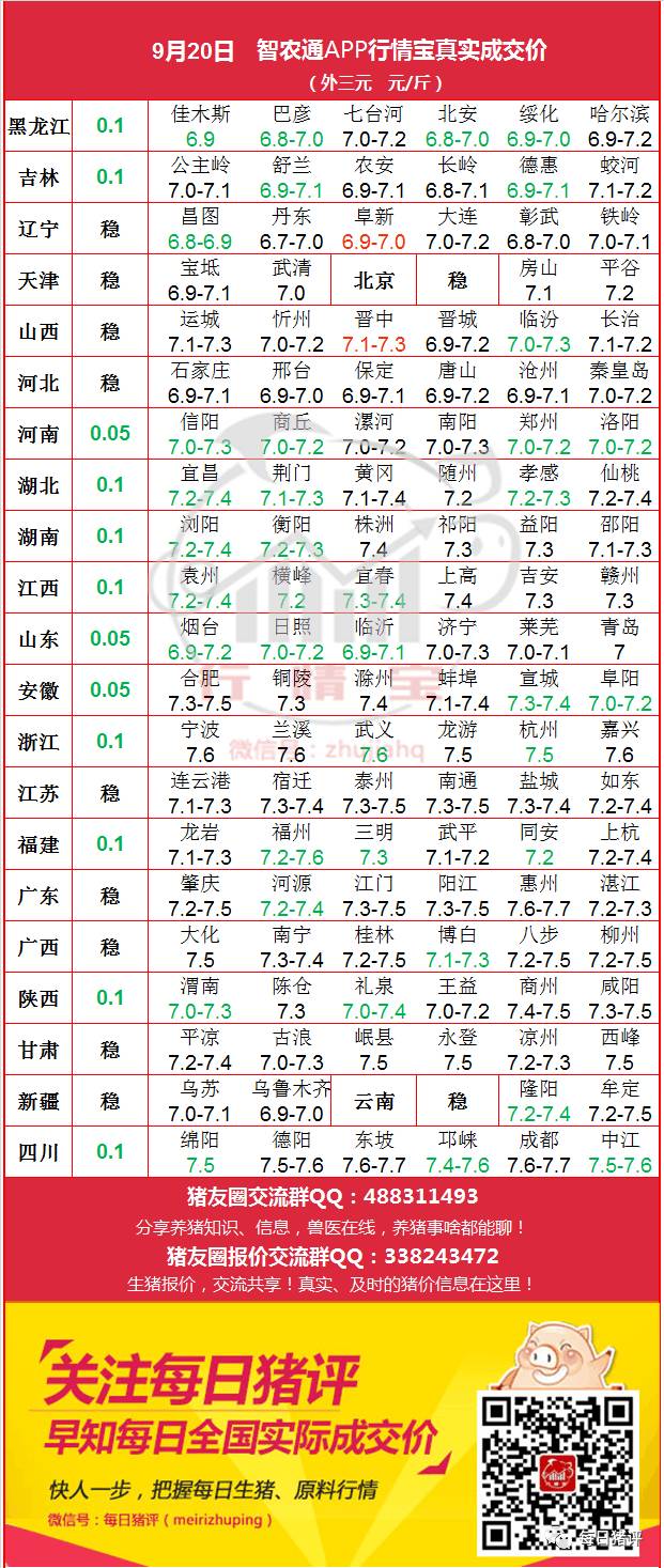 全国猪五月价最新行情分析