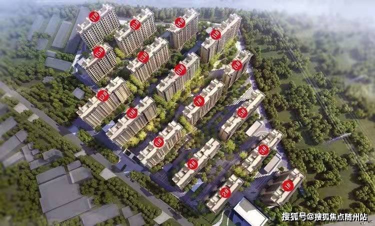 蔡白萍最新消息揭秘,探寻其最新动态与神秘面纱