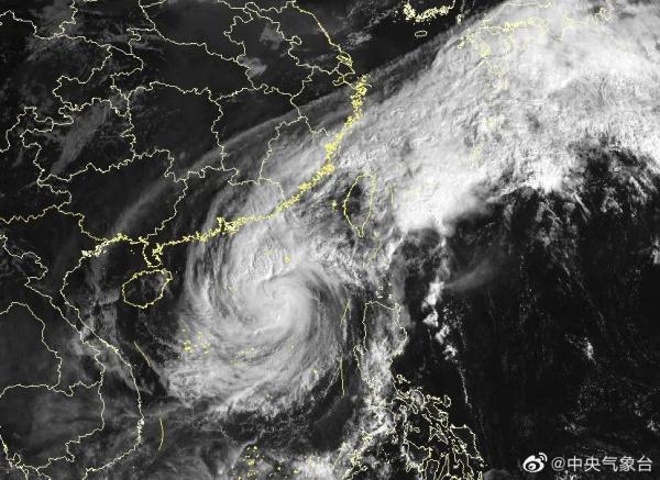 广东电白台风最新消息,紧急应对与全面救援行动启动