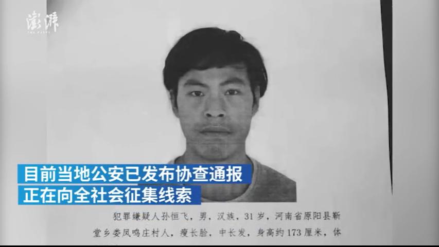 原阳命案最新进展深度剖析