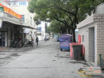 力春枫 第2页