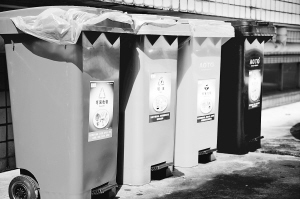 餐厨垃圾处理新动向,引领绿色革命的发展方向揭秘