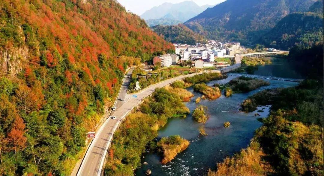 台风巴威最新动态,威力影响范围揭秘与应对措施指南