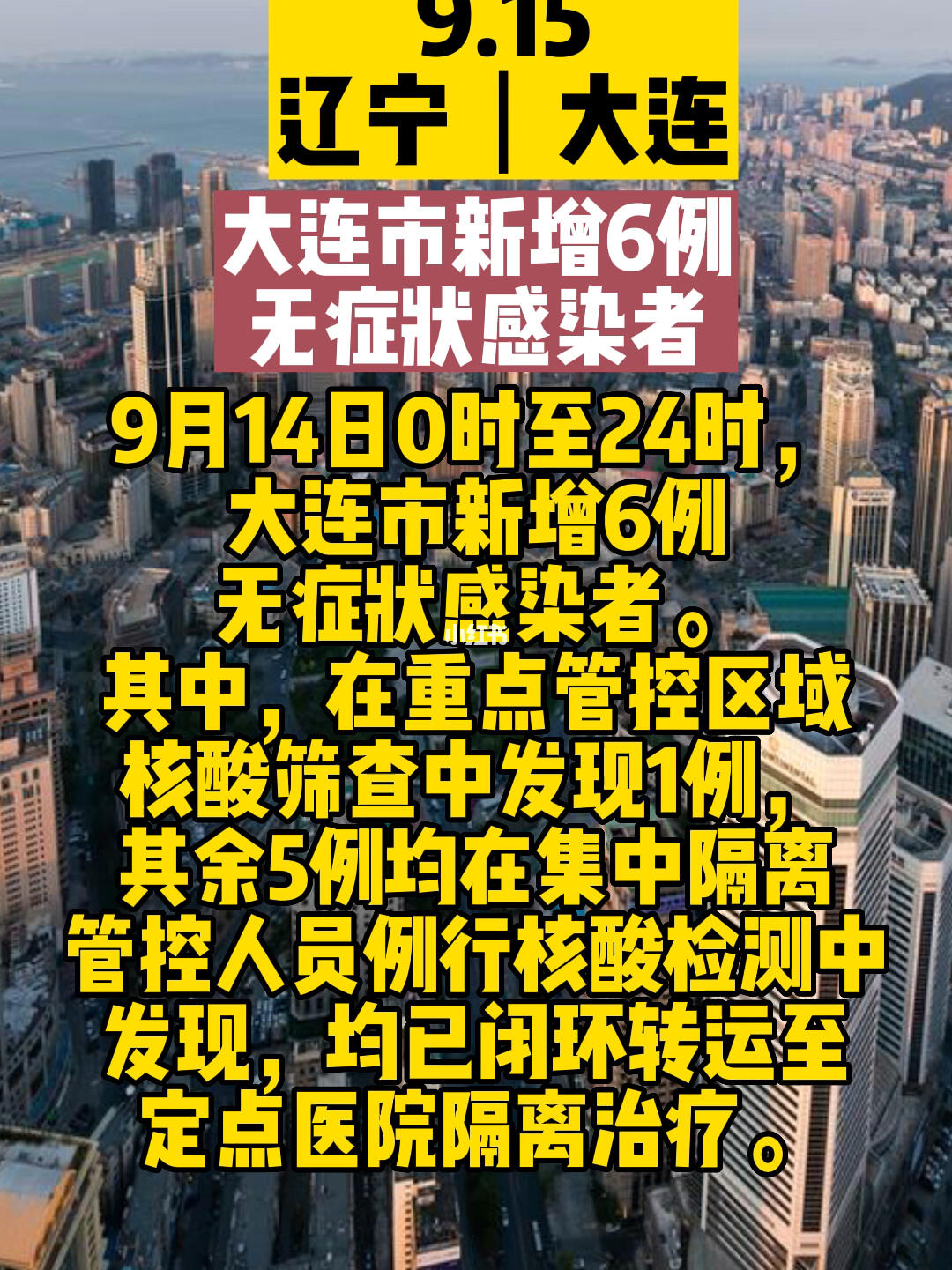 大连疫情最新发布会全面解读与深度剖析