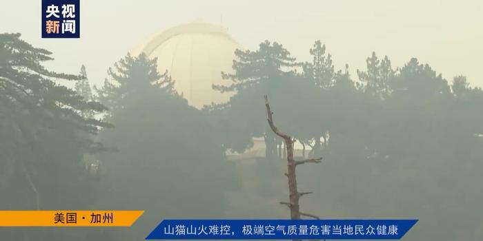 美国山猫火最新动态,发展历程揭秘与未来展望